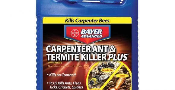 Advance Carpenter Ant Bait Lowes Shop Bayer Advanced 1 Gallon Carpenter Ant Termite