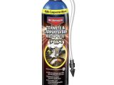 Advance Carpenter Ant Bait Lowes Shop Bayer Advanced 18 Fl Oz Termite Carpenter Bee