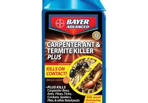 Advance Carpenter Ant Bait Lowes Shop Bayer Advanced 32 Fl Oz Carpenter Ant Termite