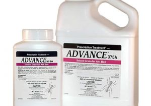 Advance Carpenter Ant Bait Msds Advance 375a Select Granular Ant Bait Kill Ant Bait