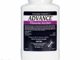 Advance Carpenter Ant Bait Msds Advance Carpenter Ant Bait Free Shipping