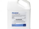 Advance Carpenter Ant Bait Msds Advance Carpenter Ant Bait Pestcontrolsupplies Com