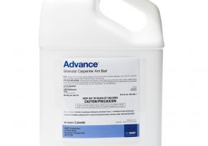 Advance Carpenter Ant Bait Msds Advance Carpenter Ant Bait Pestcontrolsupplies Com