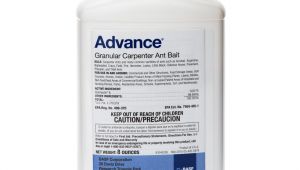 Advance Carpenter Ant Bait Msds Advance Carpenter Ant Bait Pestcontrolsupplies Com