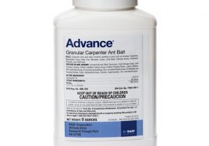 Advance Carpenter Ant Bait Msds Advance Carpenter Ant Bait Pestcontrolsupplies Com