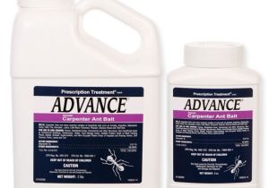 Advance Carpenter Ant Bait Msds Advance Carpenter Ant Granular Bait