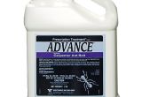 Advance Carpenter Ant Bait Msds Advance Granular Carpenter Ant Bait Ant Killer Ant Bait