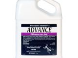Advance Carpenter Ant Bait Prescription Treament Advance Carpenter Ant Bait 2 Lb Ebay