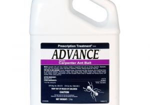 Advance Carpenter Ant Bait Prescription Treament Advance Carpenter Ant Bait 2 Lb Ebay