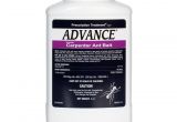 Advance Carpenter Ant Bait Prescription Treament Advance Carpenter Ant Bait Ebay
