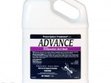 Advance Carpenter Ant Bait Reviews Advance Carpenter Ant Bait Free Shipping