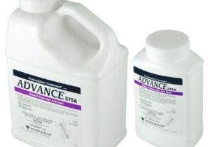 Advance Carpenter Ant Bait Reviews Pt Advance 375a Select Granular Carpenter Ant Bait 2 Lb Jug