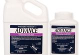 Advance Carpenter Ant Bait Reviews Pt Advance Granular Carpenter Ant Bait 8 Oz Size