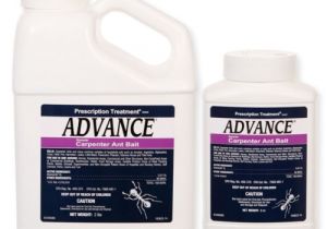 Advance Carpenter Ant Bait Reviews Pt Advance Granular Carpenter Ant Bait 8 Oz Size