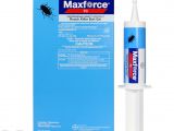 Advance Carpenter Ant Bait Sds Maxforce Fc Professional Insect Control Roach Killer Bait Gel