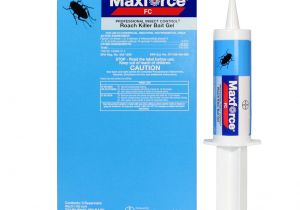 Advance Carpenter Ant Bait Sds Maxforce Fc Professional Insect Control Roach Killer Bait Gel