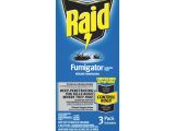 Advance Carpenter Ant Bait Sds Termite Winged Termite Fogger Home Depot