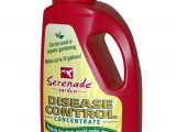 Advance Carpenter Ant Bait Walmart Amazon Com Serenade Garden 708490 Serenade Garden Ready to Spray