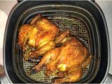 Air Fryer Cornish Hen Best Cornish Hens Ever Roasted In Philips Airfryer Here