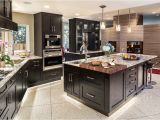 Alaska White Granite with Dark Cabinets Make Your Elegant Kitchen with Alaska White Granite