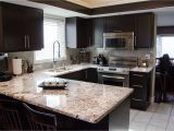 Alaska White Granite with Espresso Cabinets Bedroom Modern Minimalist Kitchen with Espresso Cabinet