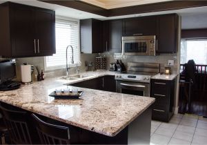Alaska White Granite with Espresso Cabinets Bedroom Modern Minimalist Kitchen with Espresso Cabinet
