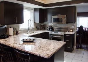 Alaska White Granite with Espresso Cabinets Bedroom Modern Minimalist Kitchen with Espresso Cabinet