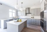 Alaska White Granite with Gray Cabinets Storage Contemporary Light Grey Wooden Light Colored Kitchen