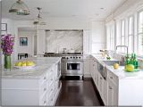 Alaska White Granite with Gray Cabinets White Granite Countertops Light Kitchen island Countertop House