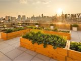 American Lease Management Long island City Ny 1 Qps tower 42 20 24th Street Nyc Rental Apartments Cityrealty