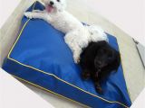 Anti Chew Dog Bed Cover Chew Proof Dog Bed Material Home Design Ideas