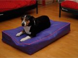 Anti Chew Dog Bed Cover Xl Dog Bed Covers Chew and Dig Proof by Big ass Dog