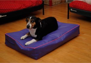 Anti Chew Dog Bed Cover Xl Dog Bed Covers Chew and Dig Proof by Big ass Dog