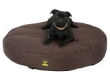 Anti Chew Dog Bed Ireland Dachshund Hot Dog Bun Bed Anti Chew Raised Dog Beds Noten