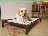 Anti Chew Dog Bed Ireland Medium Chew Resistant Dog Bed Waterproof Dog Bed Anti