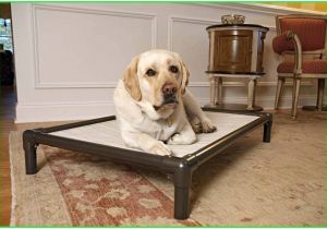 Anti Chew Dog Bed Ireland Medium Chew Resistant Dog Bed Waterproof Dog Bed Anti