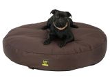 Anti Chew Dog Beds Australia Amazoncom Frontpet Chew Resistant Dog Bed Quot Round Chew