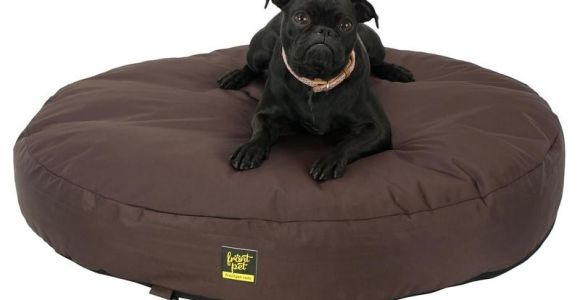 Anti Chew Dog Beds Australia Dachshund Hot Dog Bun Bed Anti Chew Raised Dog Beds Noten