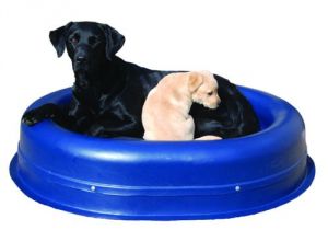 Anti Chew Dog Beds Australia No Chew Bed 28 Images No Chew Bed 28 Images No Chew