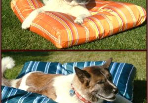 Anti Chew Dog Beds Australia No Chew Bed 28 Images No Chew Bed 28 Images No Chew