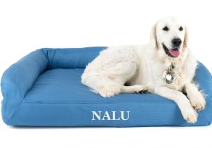 Anti Chew Dog Beds Australia No Chew Bed 28 Images No Chew Bed 28 Images No Chew