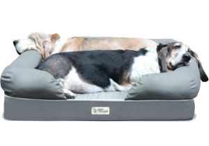 Anti Chew Dog Beds for Sale Dachshund Hot Dog Bun Bed Anti Chew Raised Dog Beds Noten