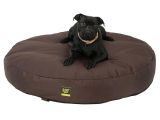 Anti Chew Raised Dog Beds Dachshund Hot Dog Bun Bed Anti Chew Raised Dog Beds Noten