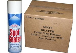 Apex Carpet Cleaning Summerville Sc Apex Carpet Cleaning Carpet Review