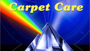 Apex Carpet Cleaning Summerville Sc Carpet Cleaning Charleston Sc Upholstery Cleaning