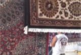 Area Rug Cleaning Boca Raton Fl Carpet Cleaning Boca Raton New oriental Rug Cleaning Drying Process