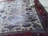 Area Rug Cleaning Boca Raton New 28 area Rug Cleaning Boca Raton Rug Cleaning Boca