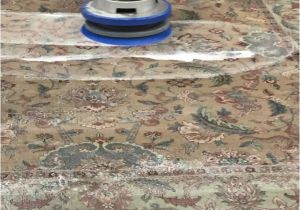 Area Rug Cleaning Boca Raton Rug Cleaning by Hand Boca Raton oriental Rug Cleaning by