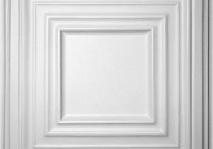 Armstrong 1205 Ceiling Tile Home Depot Armstrong Ceilings 2 Ft X 2 Ft Single Raised Panel Ea 1205 the