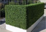 Artificial Hedges for Outdoors Artificial Outdoor Boxwood Hedge by Home Infatuation